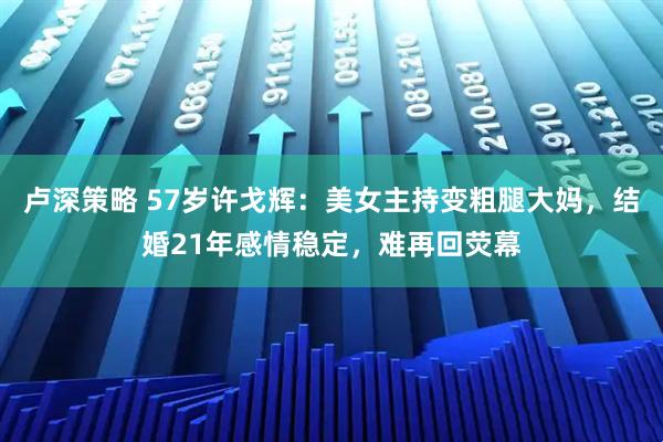 卢深策略 57岁许戈辉：美女主持变粗腿大妈，结婚21年感情稳定，难再回荧幕