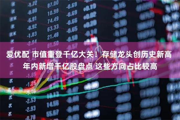 爱优配 市值重登千亿大关！存储龙头创历史新高 年内新增千亿股盘点 这些方向占比较高