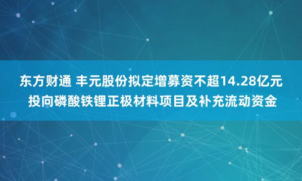 东方财通 丰元股份拟定增募资不超14.28亿元 投向磷酸铁锂正极材料项目及补充流动资金