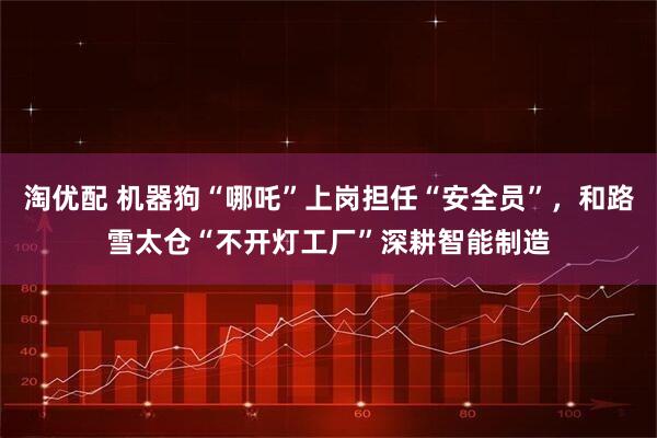 淘优配 机器狗“哪吒”上岗担任“安全员”，和路雪太仓“不开灯工厂”深耕智能制造